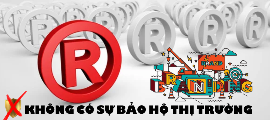 không có sự bảo hộ thị trường